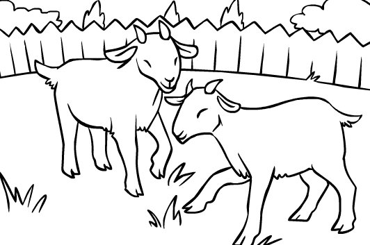 532x353 Baby Goat Coloring Pages Printable