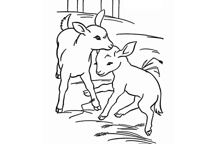 720x480 Free Cute Goat Coloring Pages