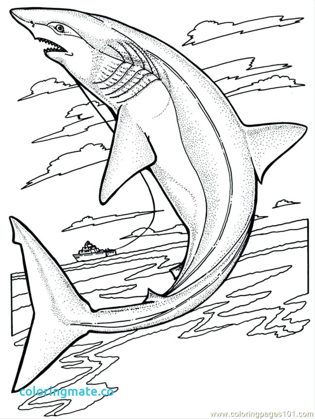 650x864 Megalodon Coloring Pages Goblin Shark Coloring Pages Color