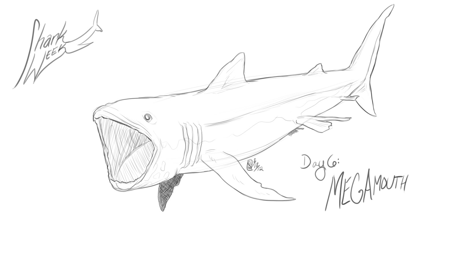 1600x933 Megamouth Shark Coloring Page