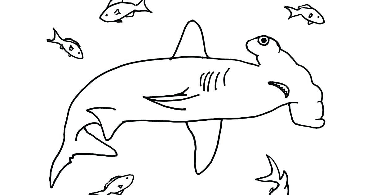 1200x630 Shark Color Pages Shark Pictures Coloring Pages Majestic