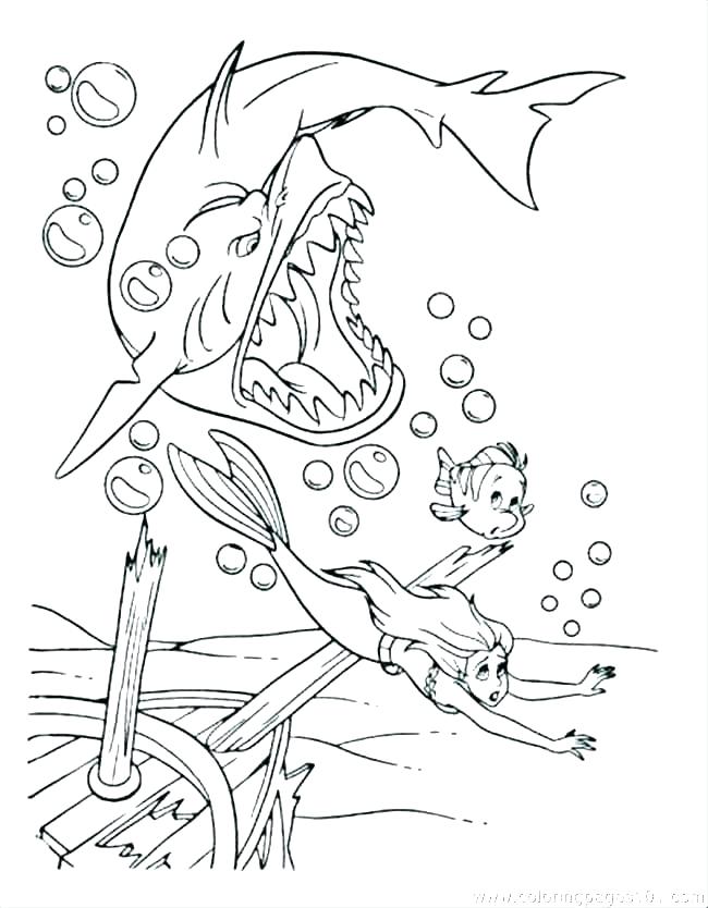 650x834 White Shark Coloring Pages Kids Coloring Sharks Coloring Pages