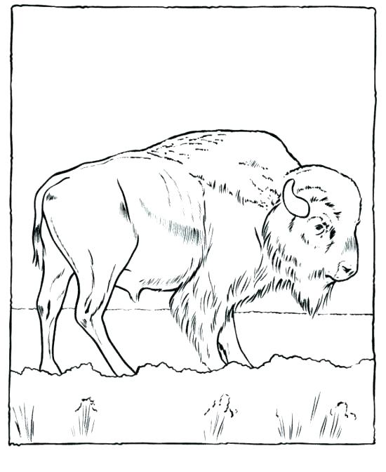 550x672 Gold Rush Colouring Pages Prospector Coloring Gold Rush Colouring