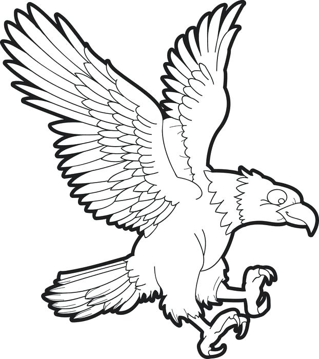 622x700 Eagle Colouring In Bald Eagle Coloring Page Golden Eagle Pictures