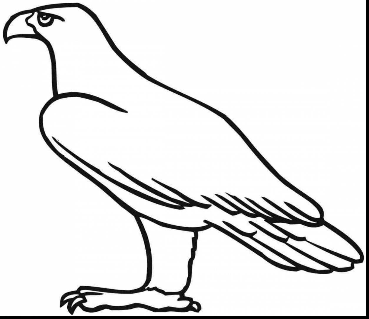 1254x1085 Golden Eagle Coloring Pages Eagle Coloring Pages Eagle