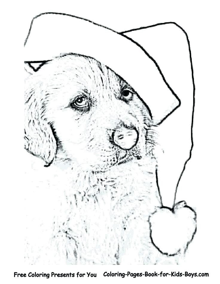 736x952 Golden Retriever Coloring Pages Dog Coloring Pages Pictures That