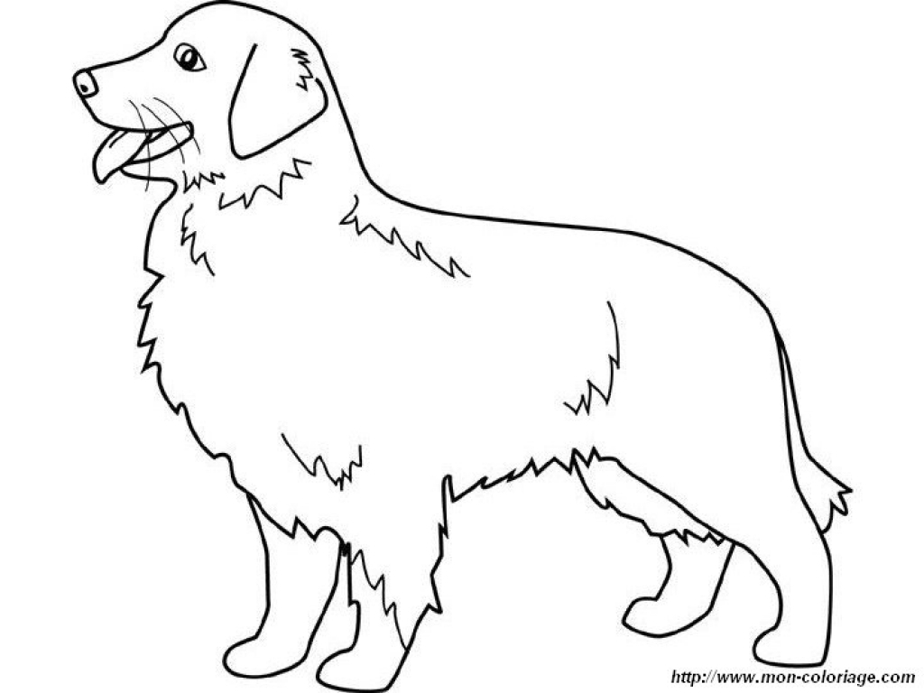 1024x768 Printable Golden Retriever Coloring Pages For At Page