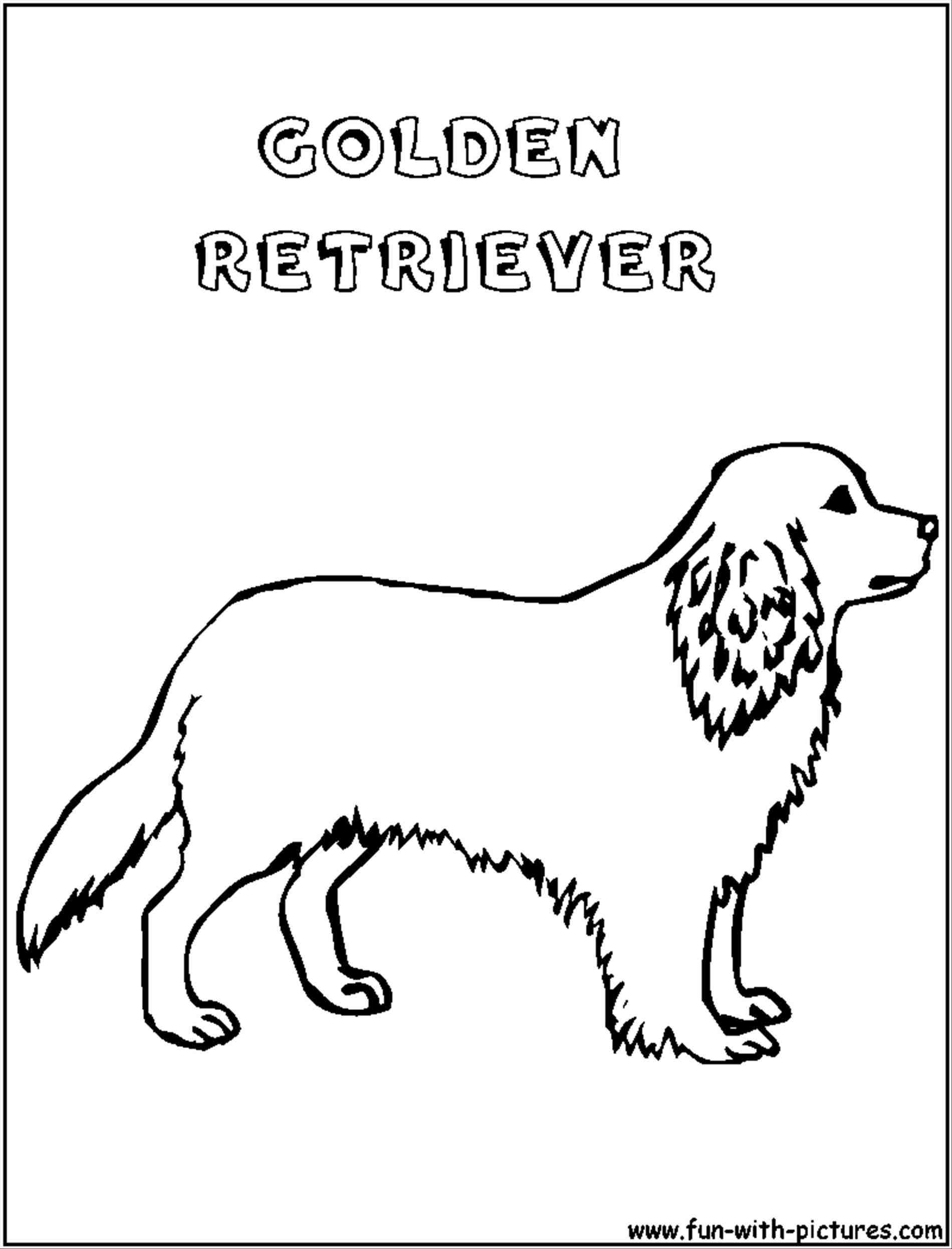 1900x2493 Golden Retriever Puppy Outline Animalsee Club