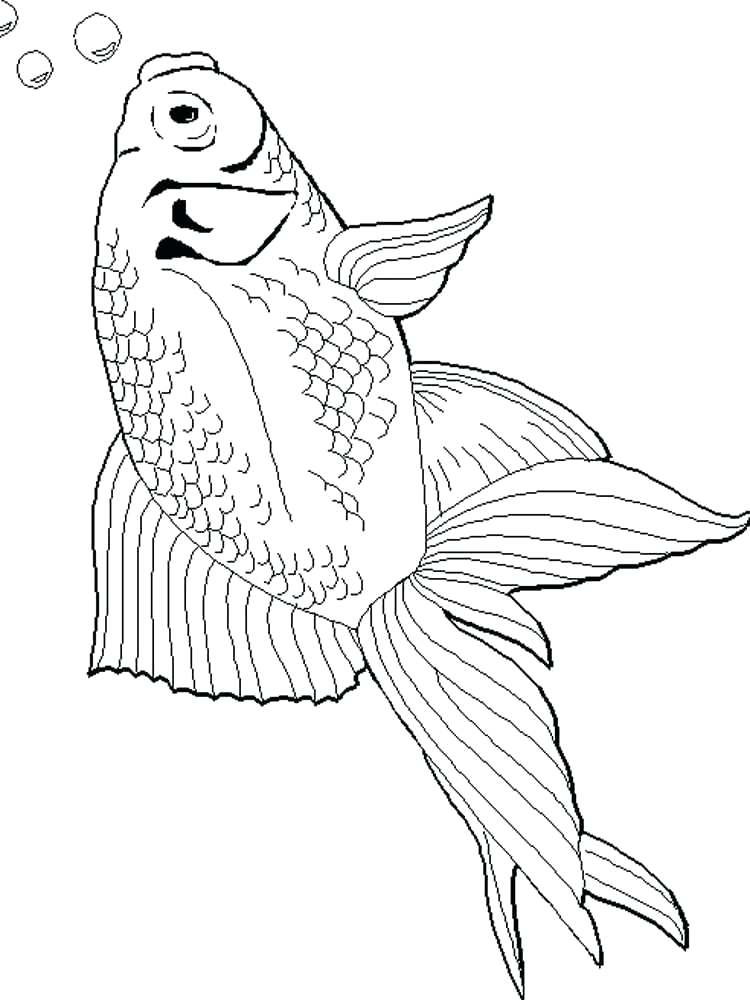 750x1000 Goldfish Coloring Page Goldfishes Coloring Pages Free Printable