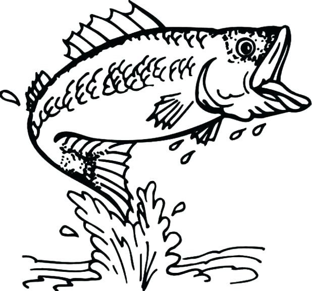 618x577 Goldfish Coloring Page Fish Coloring Pages To Print Free Fish