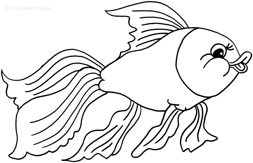 850x548 Goldfish Coloring Page Printable Goldfish Coloring Pages For Kids