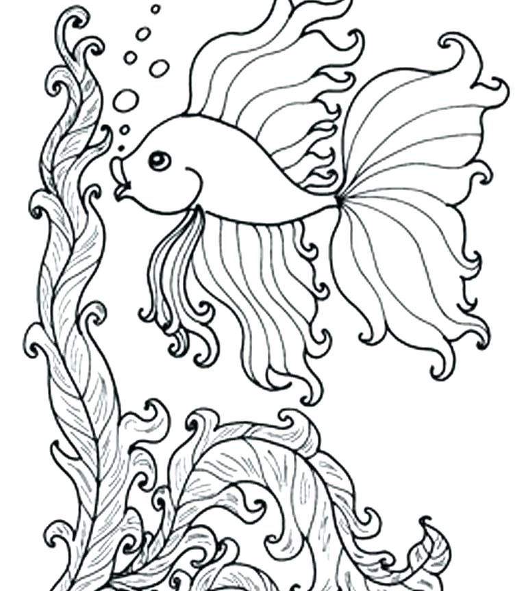 768x864 Goldfish Coloring Pages Sea Fish Coloring Pages Angel Fish