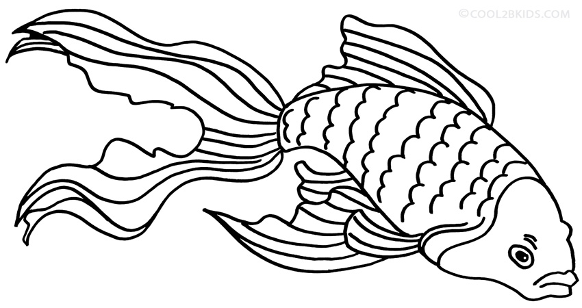 850x450 Printable Goldfish Coloring Pages For Kids