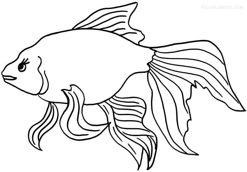 850x593 Christmas Coloring Pages Goldfish