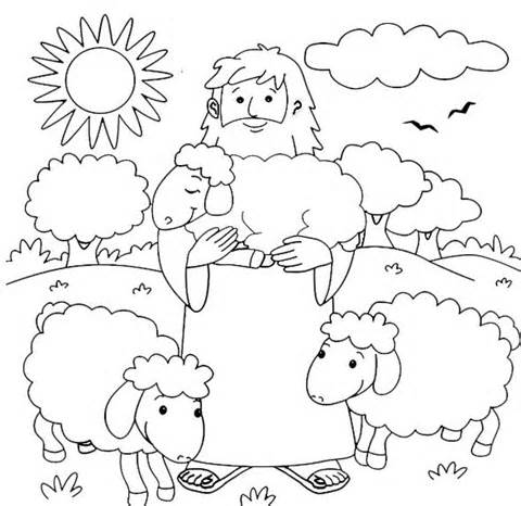 480x466 The Good Shepherd School Lessons Bible And Sunday New Sheep