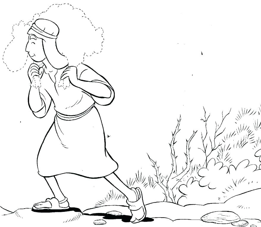 878x764 The Good Shepherd Coloring Page Professional