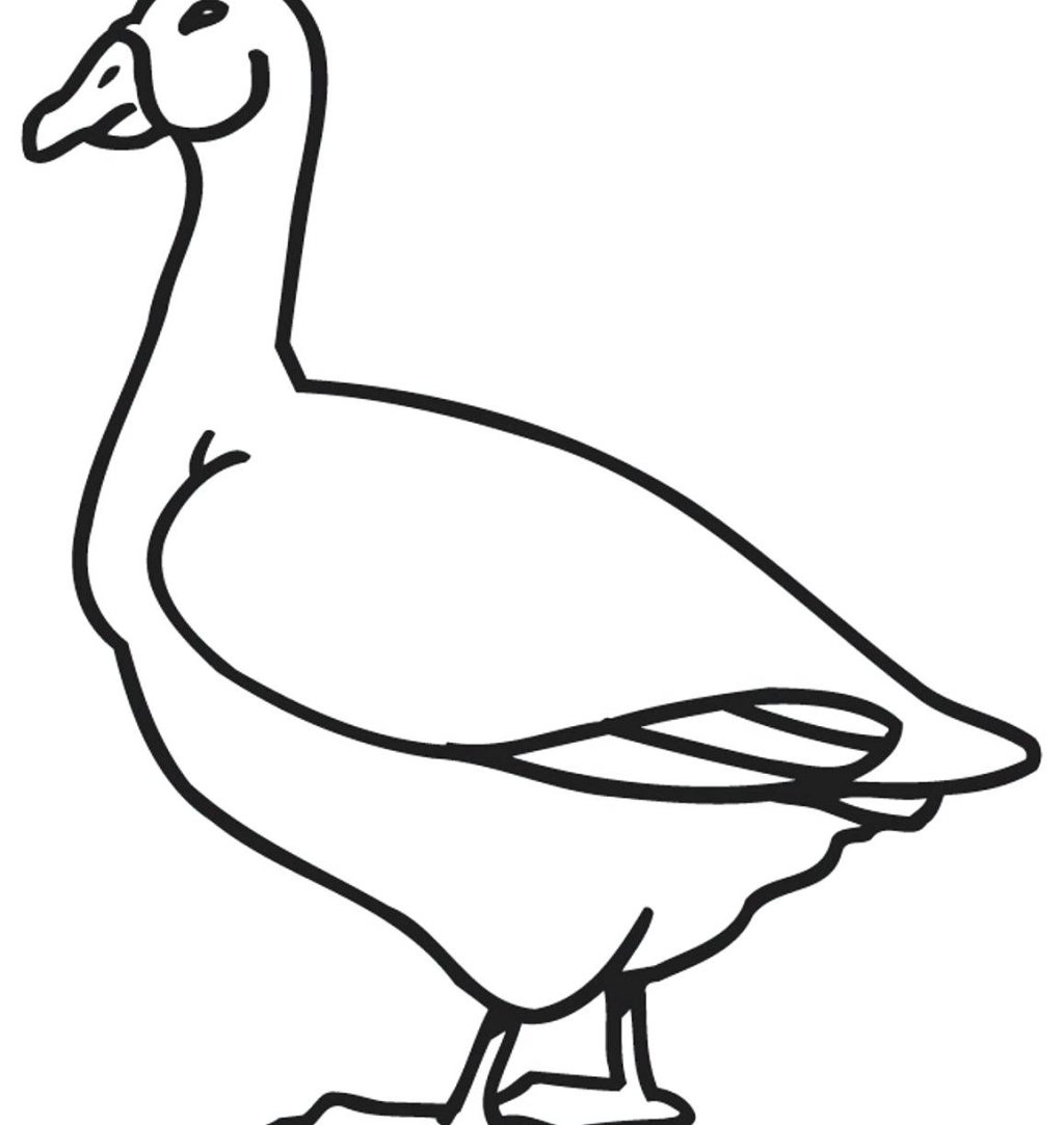 1024x1083 Fresh Goose Page To Color Gallery Printable Coloring Sheet