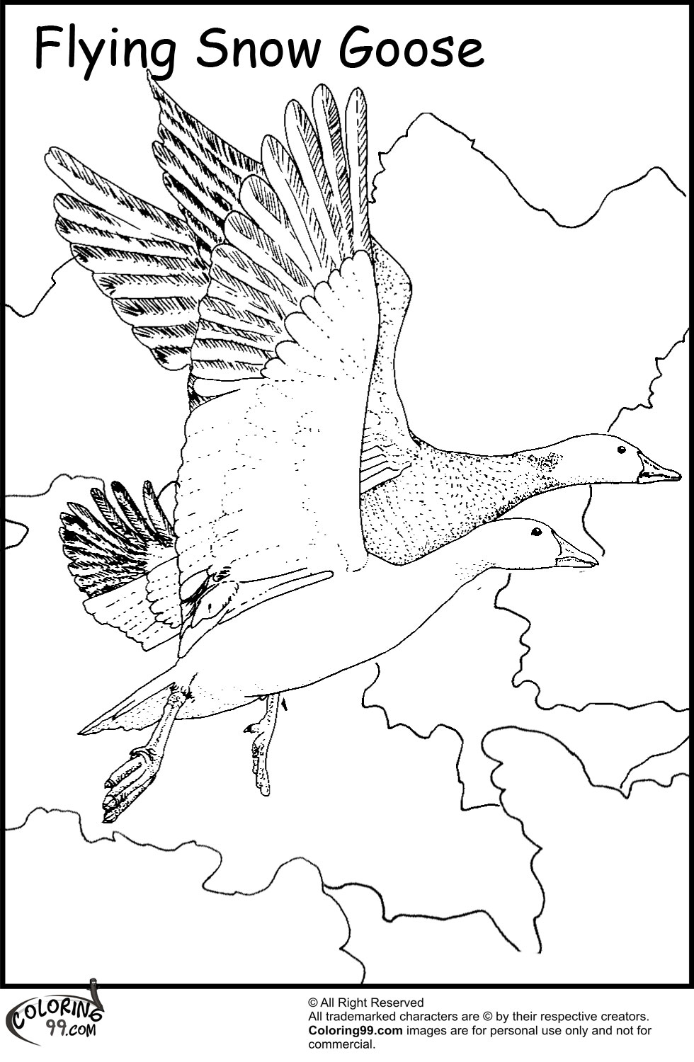 980x1500 Nene Goose Coloring Page State Drawings Pics Of Hawaii State