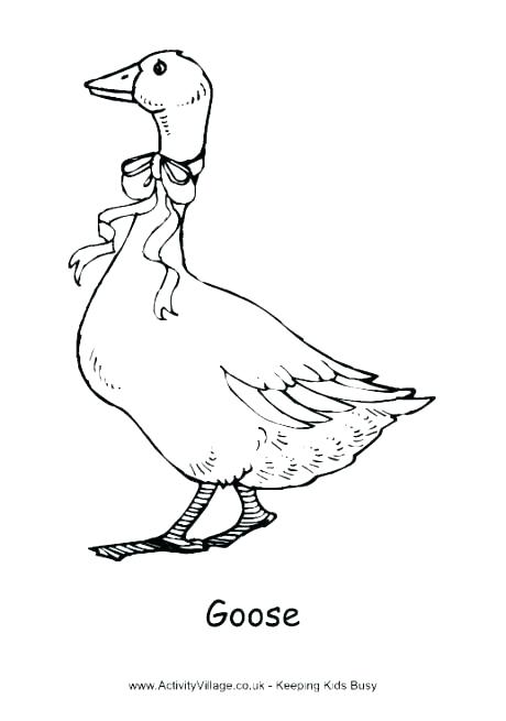 460x655 Goose Coloring Pages