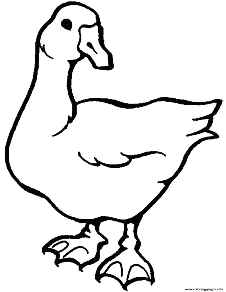 794x1024 Expert Baby Goose Coloring Pages Page Colourin