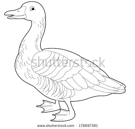 450x429 Goose Coloring Page Picture Of Goose Coloring Page Goosebumps