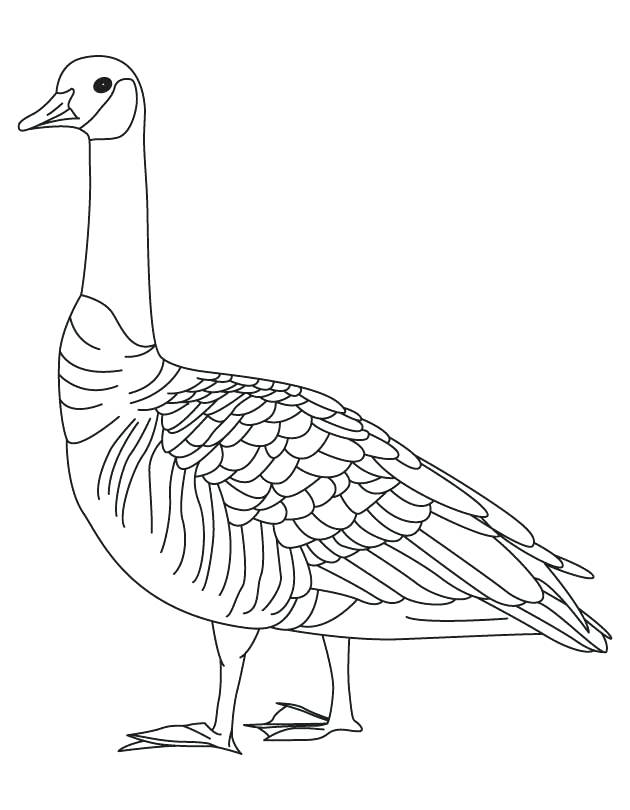 630x810 Goose Coloring Page Barren Goose Coloring Page Goosebumps Coloring