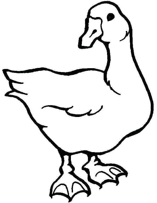 600x774 Goose Coloring Page Goose Coloring Page Goose Coloring Page Google