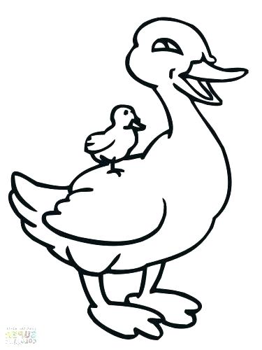 375x500 Goose Coloring Page Goose Coloring Page Medium Size Of Goose