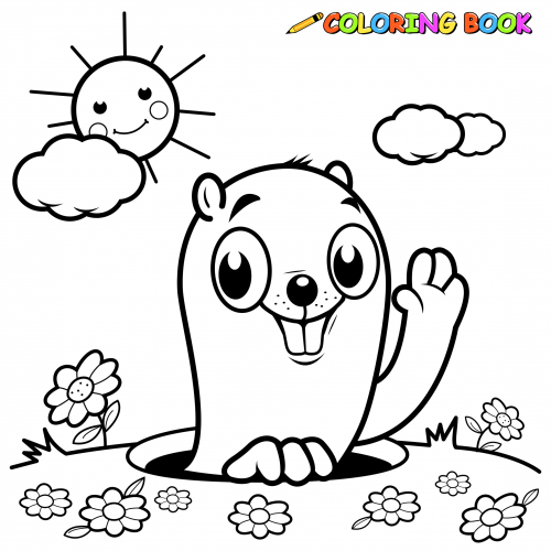 500x500 Gopher Coloring Page