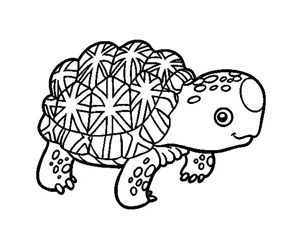 600x470 Gophers Coloring Pages Tortoise Coloring Page Tortoise Coloring