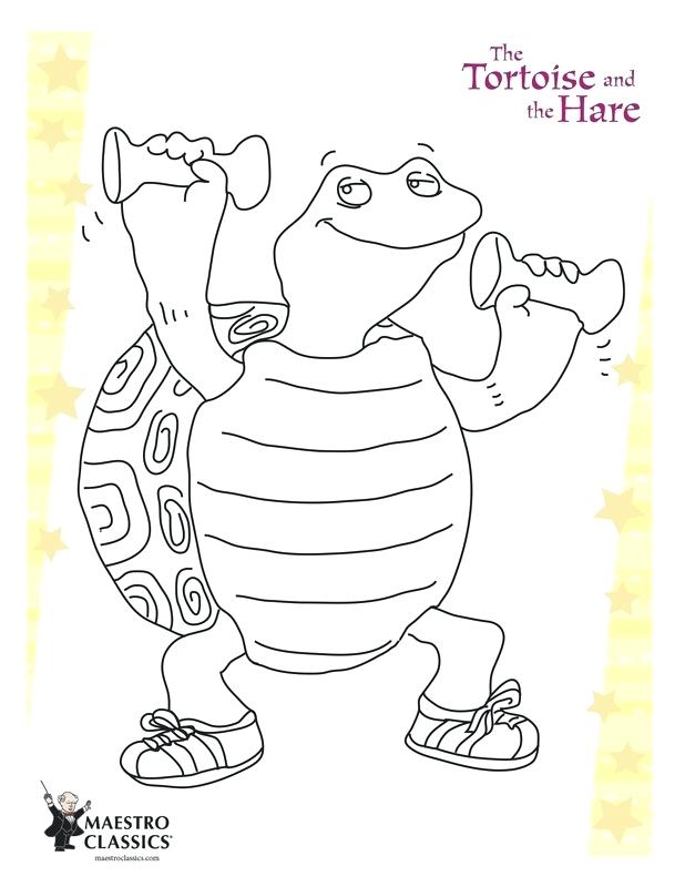 618x800 Tortoise Coloring Page Gopher Tortoise Coloring Page