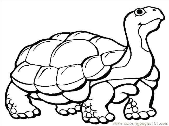 Gopher Coloring Page at GetDrawings | Free download