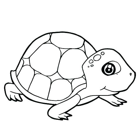 450x450 Tortoise Coloring Page Tortoise Coloring Page Tortoise Coloring