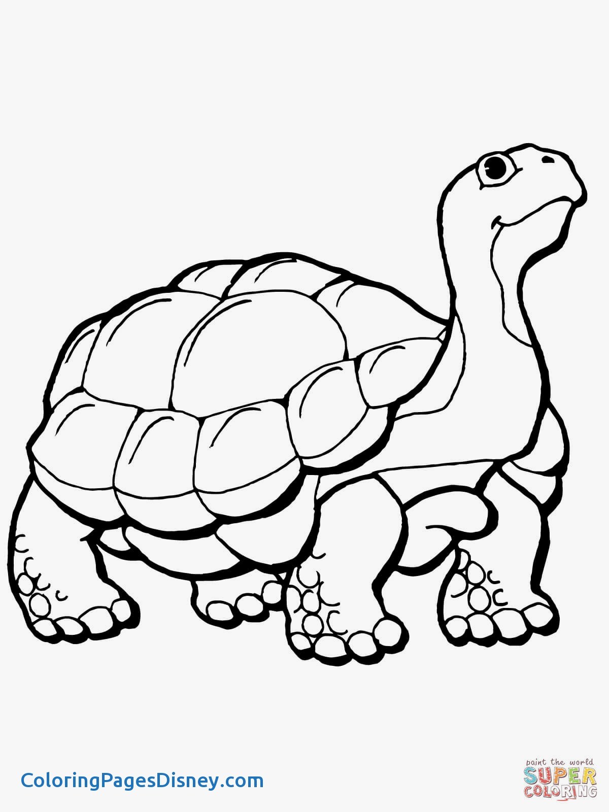 1200x1600 Elegant Gophers Coloring Pages