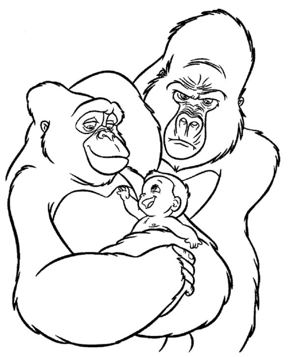 600x727 Gorilla Coloring Pages New Magilla Gorilla Free Coloring Pages