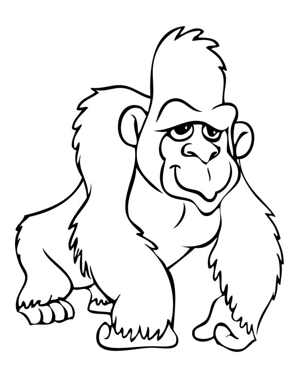 600x777 Gorilla Coloring Pages For Kids