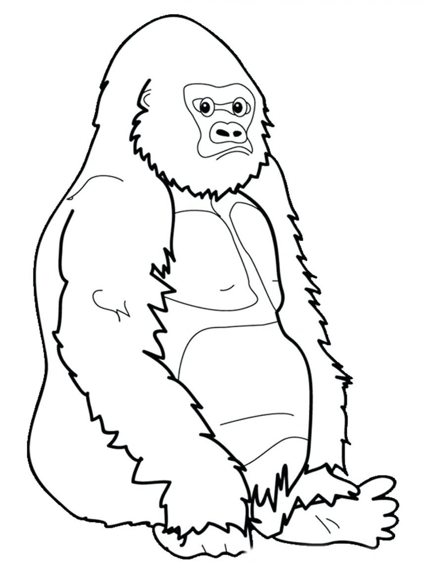 863x1151 Cute Gorilla Coloring Pages Best Of Unique Funny Gorilla Coloring