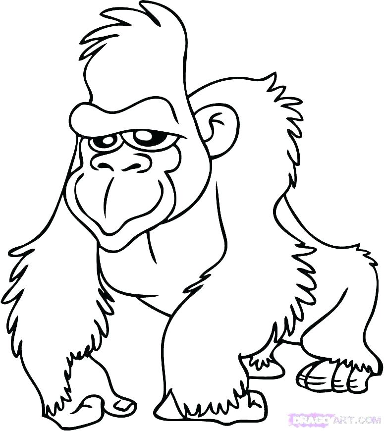 775x870 Gorilla Coloring Page Baby Gorilla Coloring Sheet Google Search