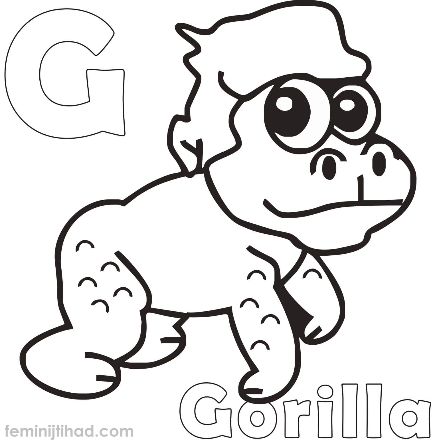 1511x1542 Gorilla Coloring Pages