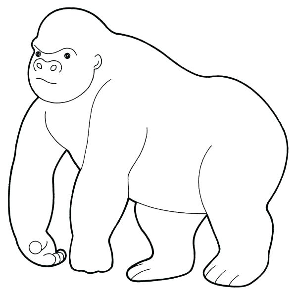 600x598 With Coloring Page Gorilla Animals Printable Coloring Pages