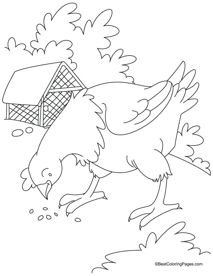 738x954 Hen Coloring Page Give Grain Egg Gain Hen Coloring Pages Download