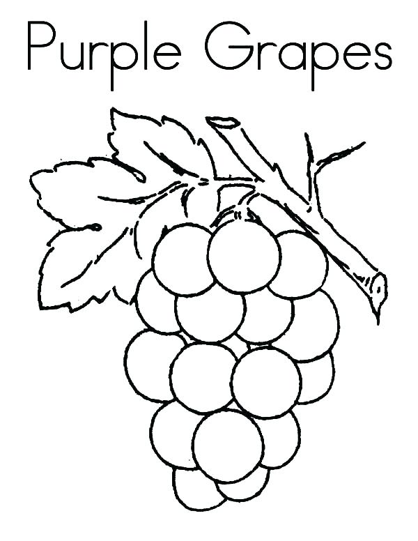 600x776 Grape Coloring Page Grapes Coloring Page Purple Grapes Coloring