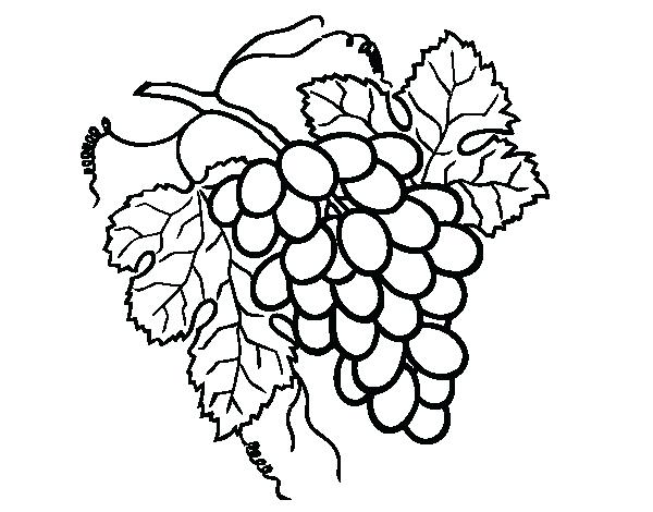 600x470 Grapes Coloring Page Bunch Of Grapes Coloring Page Grape Vine