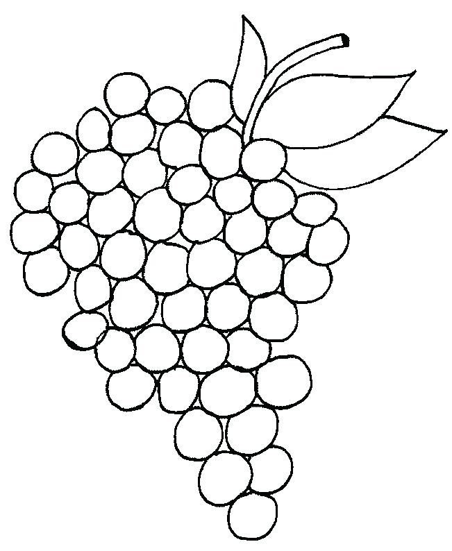 651x794 Grapes Coloring Pages We Hope You Can Find What You Need Here We