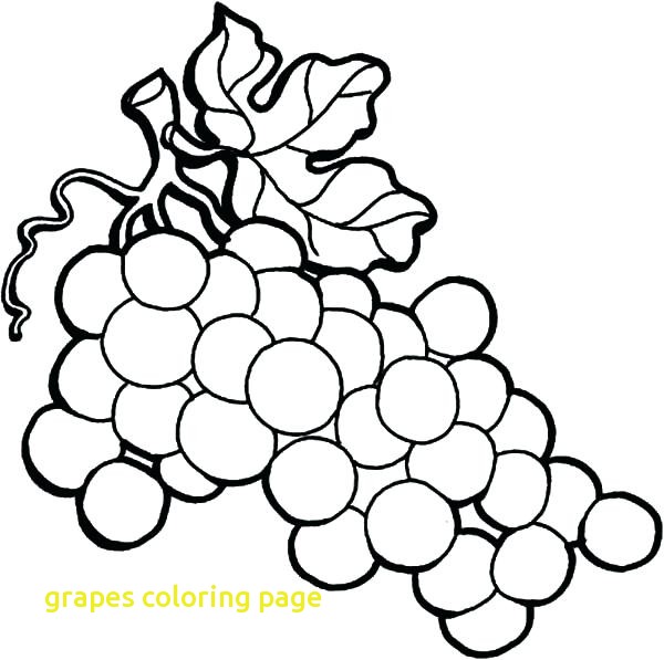 600x597 Grapes Coloring Page With Grapes Coloring Page Wine Grapes