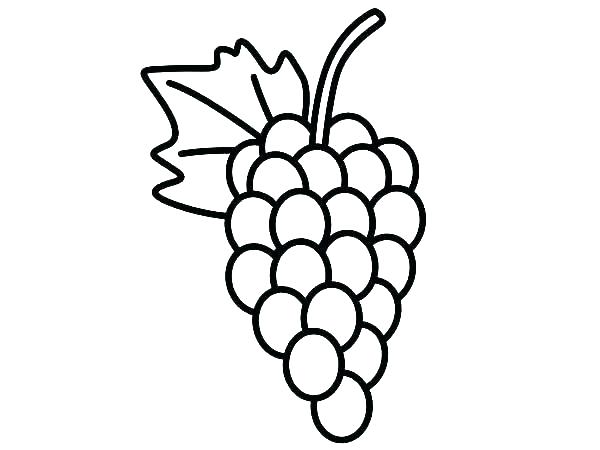 600x450 Grapes Coloring Pages Grape Coloring Page Grapes Coloring Page