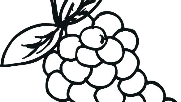 585x329 Grapes Coloring Pages Grapes Coloring Page Pages Grape Fox