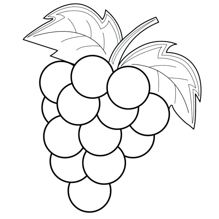 728x728 Grapes Coloring Pages Grapes Coloring Page With Wallpapers Pages