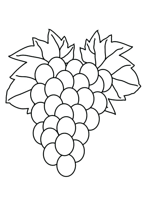 600x849 Grapes Coloring Pages Purple Coloring Pages Grapes Coloring Pages