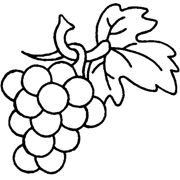 600x600 Grapes Are Berry Family Coloring Pages Color Luna